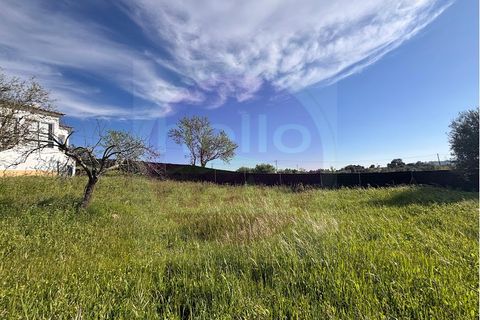 Villa i Tomar, Santarem, Tomar - € 330.000 | Ref: M 459 - foto 34