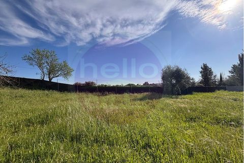 Villa i Tomar, Santarem, Tomar - € 330.000 | Ref: M 459 - foto 35