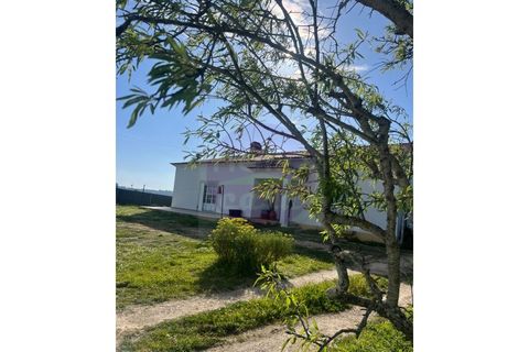 Villa i Tomar, Santarem, Tomar - € 330.000 | Ref: M 459 - foto 39