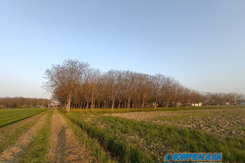 Erhvervsejendom i Este, Padua, Este - € 369.000 | Ref: F01M - foto 4