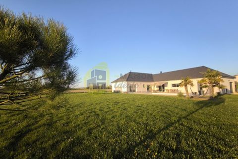 Villa a Baugy, Cher, Baugy - € 355.000 | Ref: 360031795 - foto 3