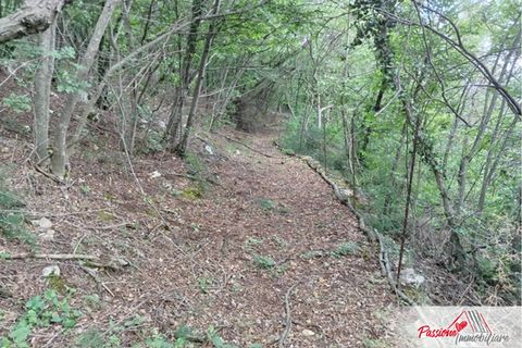 Terra a Verona, Verona, Verona - € 87.000 | Ref: N213 - foto 2