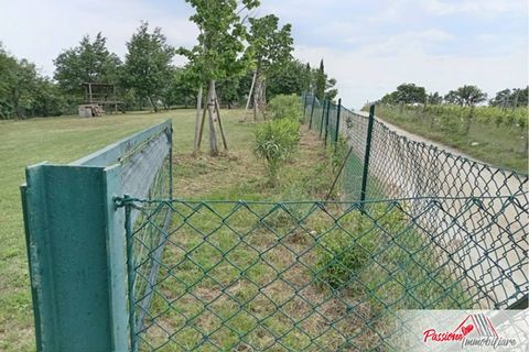 Terra a Verona, Verona, Verona - € 87.000 | Ref: N213 - foto 3