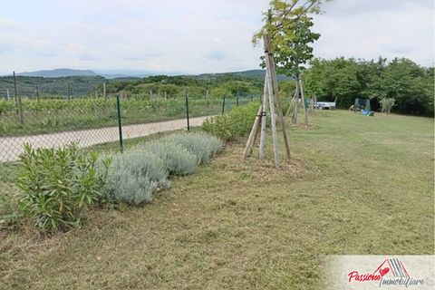 Terra a Verona, Verona, Verona - € 87.000 | Ref: N213 - foto 11