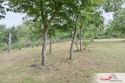 Terra a Verona, Verona, Verona - € 87.000 | Ref: N213 - foto 12
