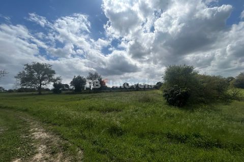 Helårsgrund i Tomar, Santarem, Tomar - € 95.000 | Ref: 01494-25 - foto 6