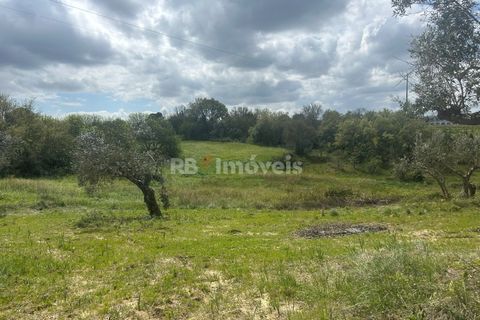 Helårsgrund i Tomar, Santarem, Tomar - € 95.000 | Ref: 01494-25 - foto 1
