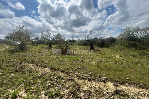 Helårsgrund i Tomar, Santarem, Tomar - € 95.000 | Ref: 01494-25 - foto 4