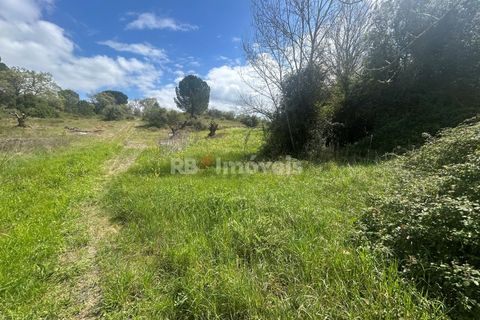 Helårsgrund i Tomar, Santarem, Tomar - € 95.000 | Ref: 01494-25 - foto 2