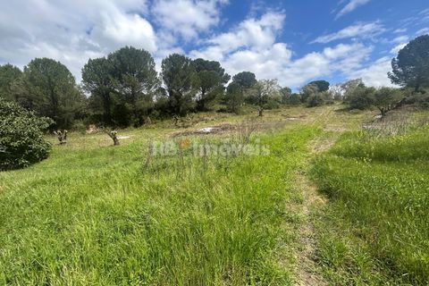 Helårsgrund i Tomar, Santarem, Tomar - € 95.000 | Ref: 01494-25 - foto 5