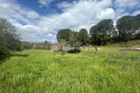 Helårsgrund i Tomar, Santarem, Tomar - € 95.000 | Ref: 01494-25 - foto 7