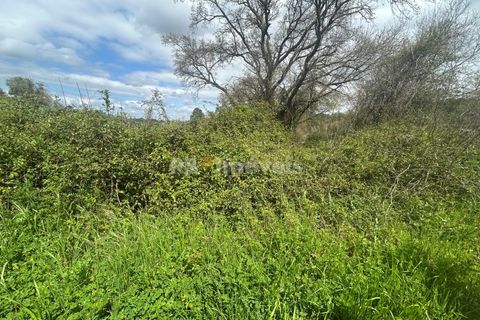 Helårsgrund i Tomar, Santarem, Tomar - € 95.000 | Ref: 01494-25 - foto 3