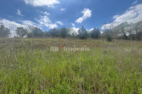 Helårsgrund i Tomar, Santarem, Tomar - € 95.000 | Ref: 01494-25 - foto 8