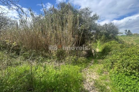 Helårsgrund i Tomar, Santarem, Tomar - € 95.000 | Ref: 01494-25 - foto 9