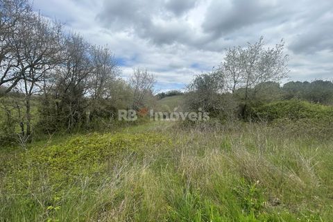 Helårsgrund i Tomar, Santarem, Tomar - € 95.000 | Ref: 01494-25 - foto 11