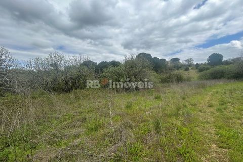 Helårsgrund i Tomar, Santarem, Tomar - € 95.000 | Ref: 01494-25 - foto 12