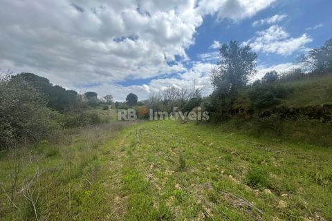 Helårsgrund i Tomar, Santarem, Tomar - € 95.000 | Ref: 01494-25 - foto 13