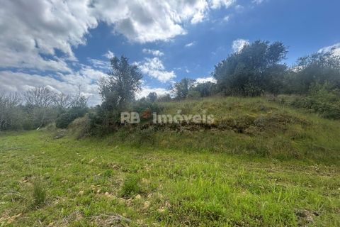 Helårsgrund i Tomar, Santarem, Tomar - € 95.000 | Ref: 01494-25 - foto 14
