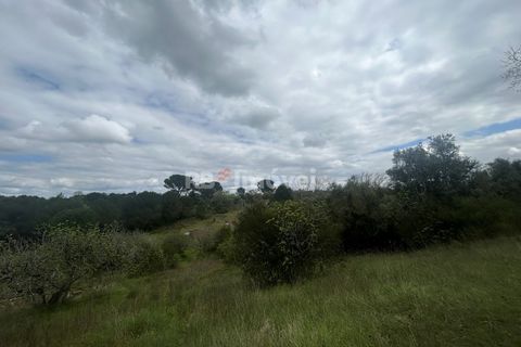Helårsgrund i Tomar, Santarem, Tomar - € 95.000 | Ref: 01494-25 - foto 17