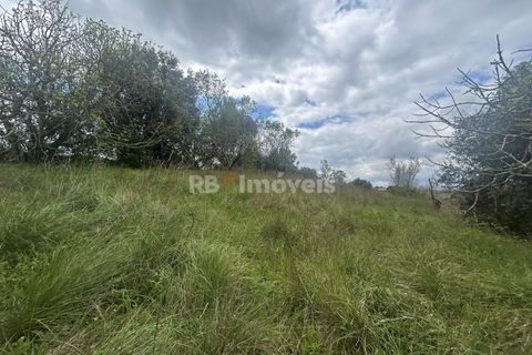 Helårsgrund i Tomar, Santarem, Tomar - € 95.000 | Ref: 01494-25 - foto 19