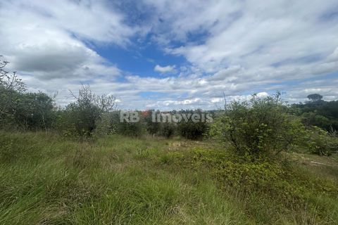 Helårsgrund i Tomar, Santarem, Tomar - € 95.000 | Ref: 01494-25 - foto 20