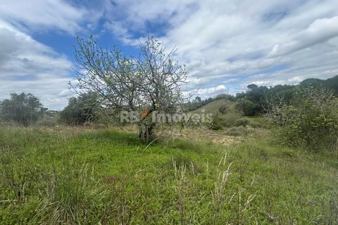 Helårsgrund i Tomar, Santarem, Tomar - € 95.000 | Ref: 01494-25 - foto 21