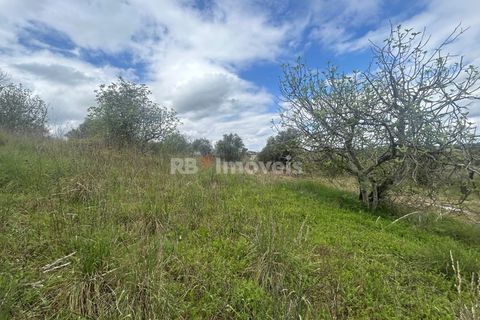 Helårsgrund i Tomar, Santarem, Tomar - € 95.000 | Ref: 01494-25 - foto 22