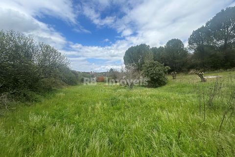 Helårsgrund i Tomar, Santarem, Tomar - € 95.000 | Ref: 01494-25 - foto 23