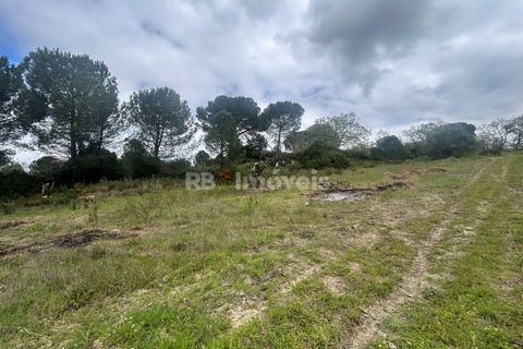 Helårsgrund i Tomar, Santarem, Tomar - € 95.000 | Ref: 01494-25 - foto 24