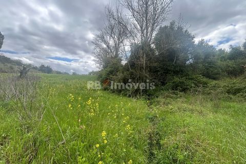 Helårsgrund i Tomar, Santarem, Tomar - € 95.000 | Ref: 01494-25 - foto 25