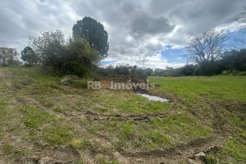 Helårsgrund i Tomar, Santarem, Tomar - € 95.000 | Ref: 01494-25 - foto 27