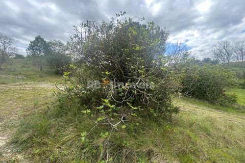 Helårsgrund i Tomar, Santarem, Tomar - € 95.000 | Ref: 01494-25 - foto 29