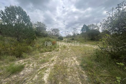 Helårsgrund i Tomar, Santarem, Tomar - € 95.000 | Ref: 01494-25 - foto 30