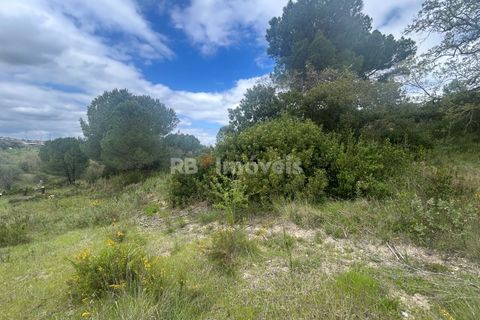 Helårsgrund i Tomar, Santarem, Tomar - € 95.000 | Ref: 01494-25 - foto 31
