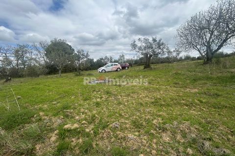 Helårsgrund i Tomar, Santarem, Tomar - € 95.000 | Ref: 01494-25 - foto 34