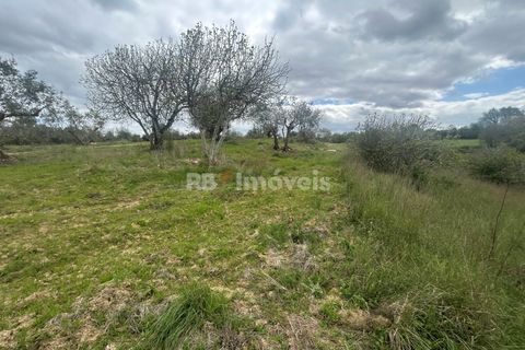 Helårsgrund i Tomar, Santarem, Tomar - € 95.000 | Ref: 01494-25 - foto 36