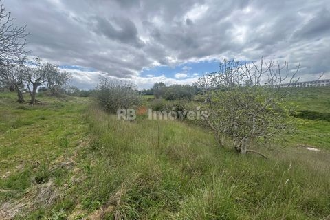 Helårsgrund i Tomar, Santarem, Tomar - € 95.000 | Ref: 01494-25 - foto 37