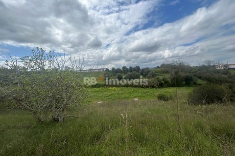 Helårsgrund i Tomar, Santarem, Tomar - € 95.000 | Ref: 01494-25 - foto 38