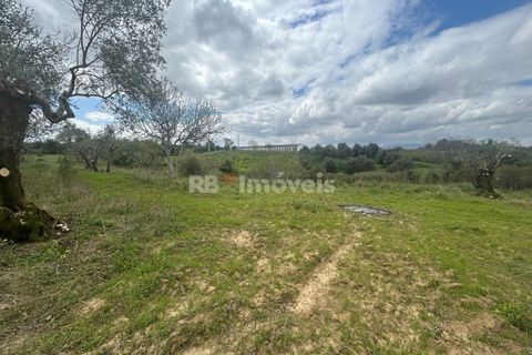 Helårsgrund i Tomar, Santarem, Tomar - € 95.000 | Ref: 01494-25 - foto 39
