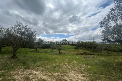 Helårsgrund i Tomar, Santarem, Tomar - € 95.000 | Ref: 01494-25 - foto 41