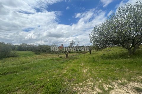 Helårsgrund i Tomar, Santarem, Tomar - € 95.000 | Ref: 01494-25 - foto 42