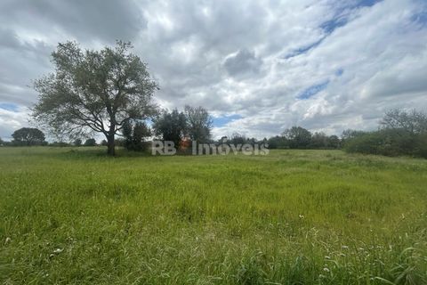 Helårsgrund i Tomar, Santarem, Tomar - € 95.000 | Ref: 01494-25 - foto 43