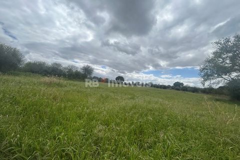 Helårsgrund i Tomar, Santarem, Tomar - € 95.000 | Ref: 01494-25 - foto 44
