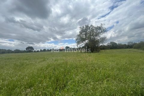 Helårsgrund i Tomar, Santarem, Tomar - € 95.000 | Ref: 01494-25 - foto 45