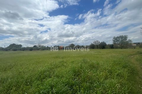 Helårsgrund i Tomar, Santarem, Tomar - € 95.000 | Ref: 01494-25 - foto 46
