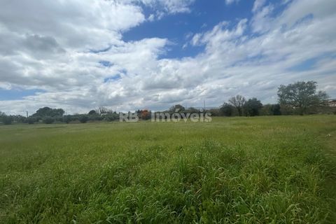 Helårsgrund i Tomar, Santarem, Tomar - € 95.000 | Ref: 01494-25 - foto 47