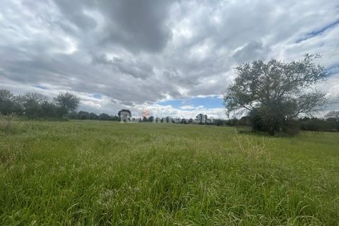 Helårsgrund i Tomar, Santarem, Tomar - € 95.000 | Ref: 01494-25 - foto 48