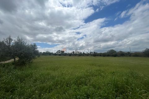 Helårsgrund i Tomar, Santarem, Tomar - € 95.000 | Ref: 01494-25 - foto 49