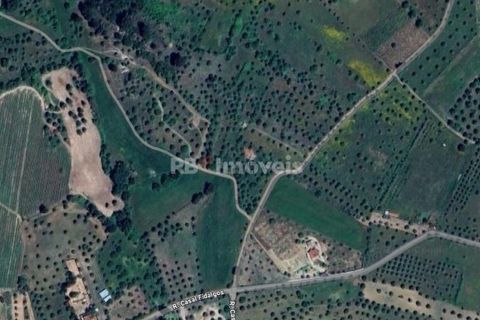 Helårsgrund i Tomar, Santarem, Tomar - € 95.000 | Ref: 01494-25 - foto 50