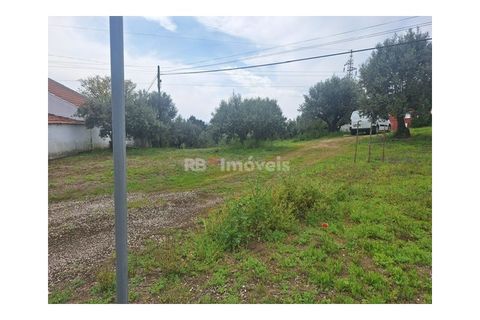 Helårsgrund i Tomar, Santarem, Tomar - € 75.000 | Ref: 01490-25 - foto 9